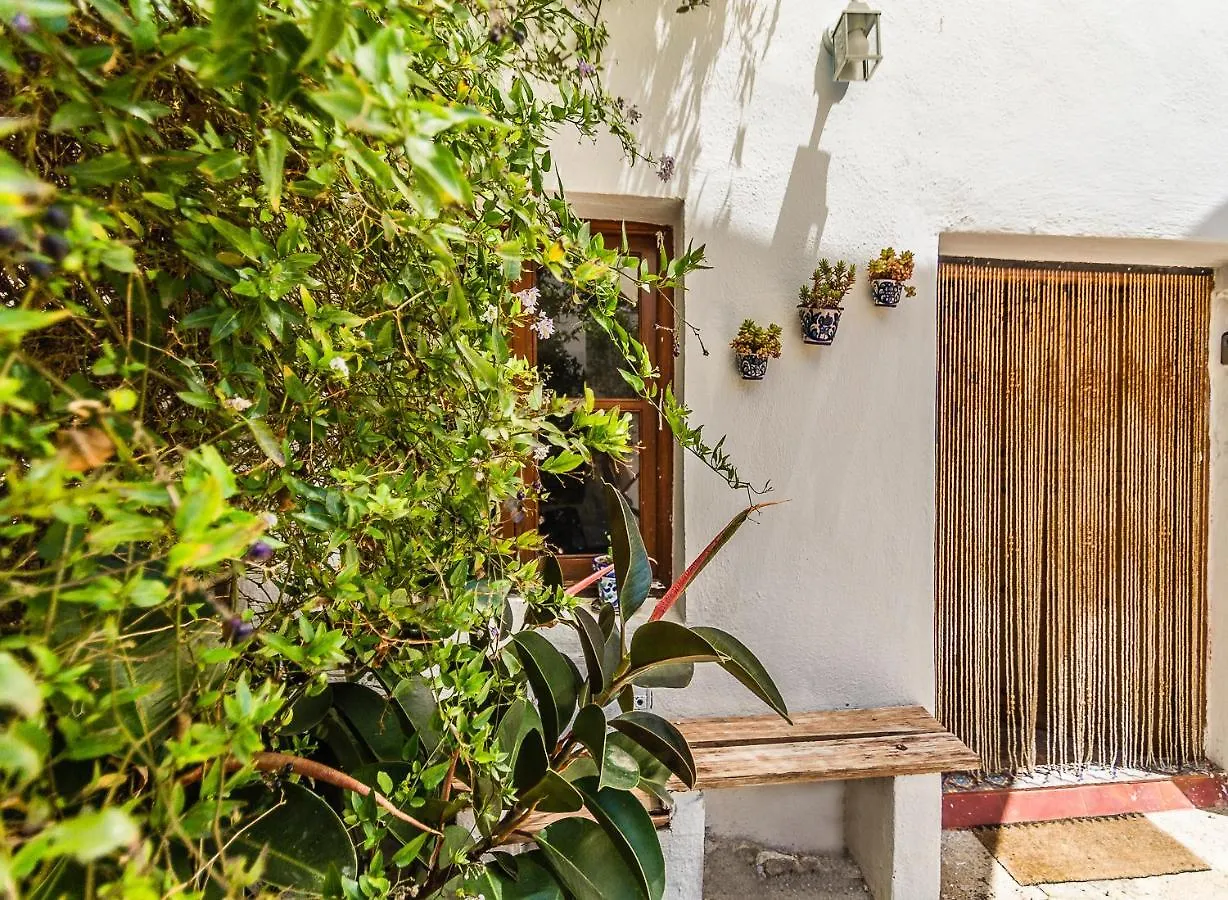 Casa Mundo - 16Th Century Traditional White Village House With Pool Pinos del Valle Ισπανία